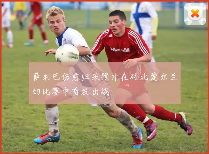 萨利巴伤愈归来预计在对北爱尔兰的比赛中首发出战